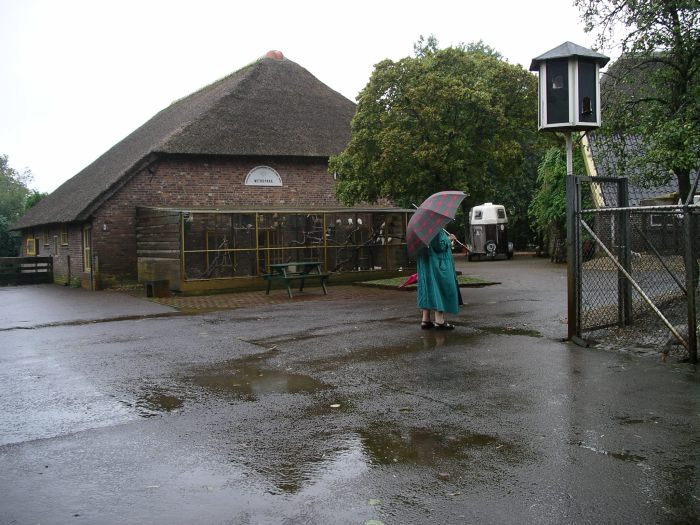 Vergert leeg.JPG